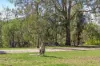 2129 Old Stanthorpe Road, Cherry Gully QLD 4370-Image