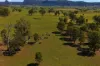 214 Bowles Lane, Rylstone, NSW 2849-Image