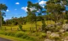 2142 Pyramids Road, Wyberba, Qld 4382-Image
