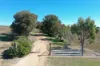 216 Good Friday Gully Road, Maimuru, NSW 2594-Image