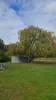 2160 Pinjarra-Williams rd, Dwellingup, WA 6213-Image