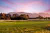 217 Deasys Road, Pokolbin, NSW 2320-Image