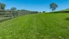 217 Splitters Creek Road,, Splitters Creek, NSW 2640-Image
