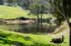 217 Splitters Creek Road,, Splitters Creek, NSW 2640-Image
