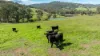 217 Splitters Creek Road,, Splitters Creek, NSW 2640-Image