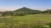 217 Thompson Point Road, Nankin QLD 4701-Image