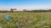 217 Thompson Point Road, Nankin QLD 4701-Image