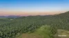 217 Thompson Point Road, Nankin QLD 4701-Image