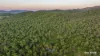 217 Thompson Point Road, Nankin QLD 4701-Image