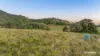 217 Thompson Point Road, Nankin QLD 4701-Image