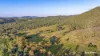 217 Thompson Point Road, Nankin QLD 4701-Image