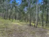2175, Coaldale NSW 2460-Image