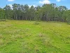 2175, Coaldale NSW 2460-Image