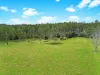 2175, Coaldale NSW 2460-Image