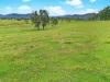 2175, Coaldale NSW 2460-Image