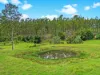 2175, Coaldale NSW 2460-Image