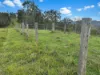 2175, Coaldale NSW 2460-Image