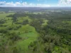 2175, Coaldale NSW 2460-Image