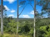 2175, Coaldale NSW 2460-Image