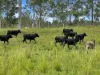 2175 Coaldale Road, Coaldale, NSW 2460-Image