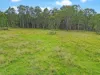 2175 Coaldale Road, Coaldale, NSW 2460-Image
