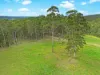 2175 Coaldale Road, Coaldale, NSW 2460-Image