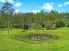 2175 Coaldale Road, Coaldale, NSW 2460-Image