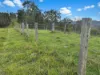 2175 Coaldale Road, Coaldale, NSW 2460-Image