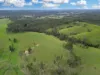 2175 Coaldale Road, Coaldale, NSW 2460-Image