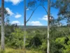 2175 Coaldale Road, Coaldale, NSW 2460-Image