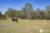 2178 Armidale Road, Willawarrin, NSW 2440-Image