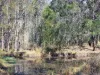 2178 Armidale Road, Willawarrin, NSW 2440-Image