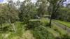 219 Olletts Road, Habana, Qld 4740-Image