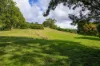 219 Scrubby Creek Road, Scrubby Creek, Qld 4570-Image