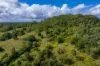 219 Scrubby Creek Road, Scrubby Creek, Qld 4570-Image