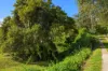 219 Scrubby Creek Road, Scrubby Creek, Qld 4570-Image