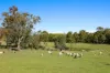2193 Hill End Road, Mudgee, NSW 2850-Image