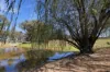 22 Anderson Lane, Cowra, NSW 2794-Image