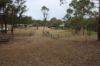 22 Bluff River Road, Tenterfield, NSW 2372-Image
