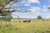 22 Cainbil Road, Coolah, NSW 2843-Image
