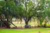 22 Crothers Road, Massie QLD 4370-Image
