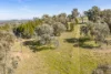 22 Merriganowry Road, Cowra, NSW 2794-Image