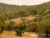 22 Waterhouse Road, Summerholm, Qld 4341