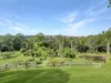 220 Lees Lane, Hogarth Range NSW 2469-Image