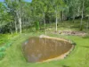 220 Lees Lane, Hogarth Range NSW 2469-Image