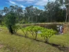 220 Lees Lane, Hogarth Range NSW 2469-Image