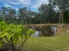 220 Lees Lane, Hogarth Range NSW 2469-Image
