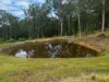 220 Lees Lane, Hogarth Range NSW 2469-Image