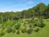 220 Lees Lane, Hogarth Range NSW 2469-Image