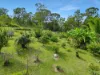 220 Lees Lane, Hogarth Range NSW 2469-Image